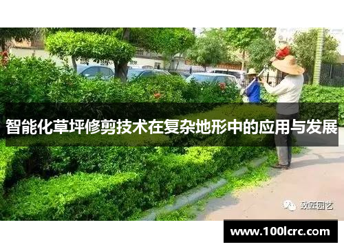 智能化草坪修剪技术在复杂地形中的应用与发展